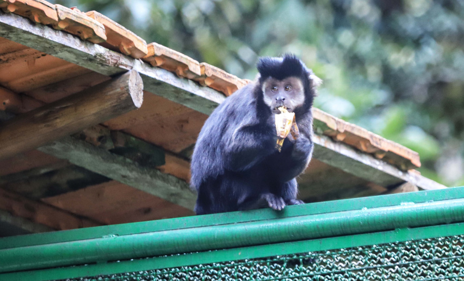 PR 3º COLOCADO GERAL DO RANKING DE COMPETITIVIDADE