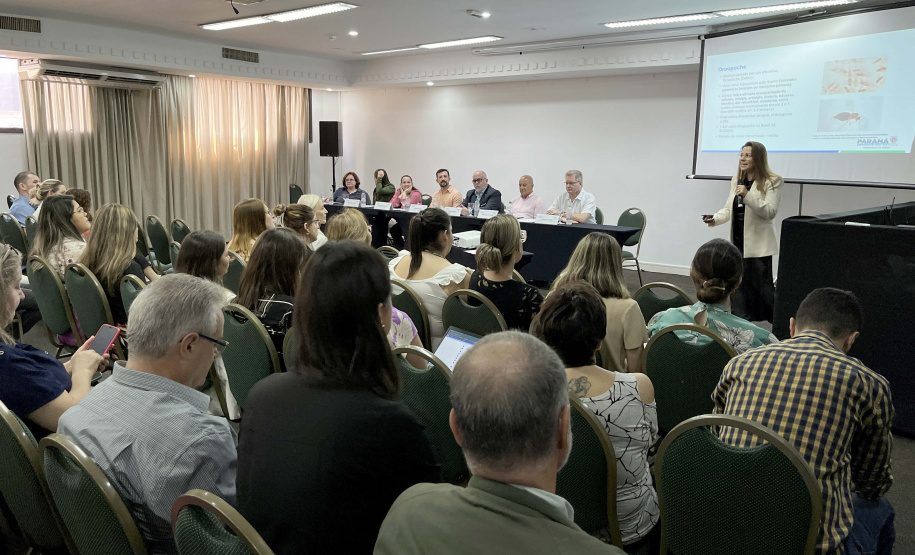 Paraná avança na implantação de programa para facilitar o acesso ao cuidado especializado no SUS