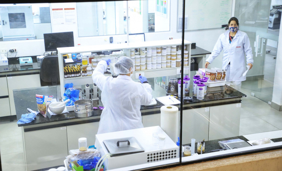 TAXA DE DESEMPREGO CAI