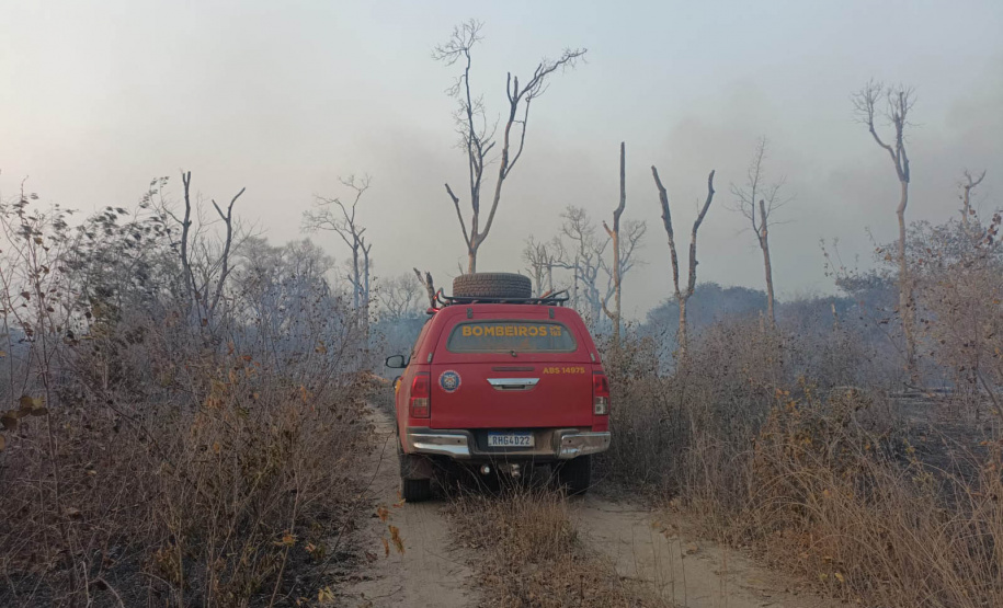 Volta da 2ª equipe encerra missão paranaense no Pantanal