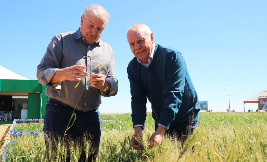 Evento de Agricultura de Baixo Carbono - show rural de inverno