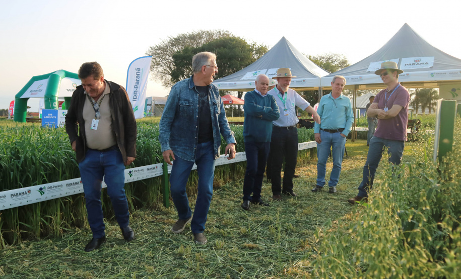 Evento de Agricultura de Baixo Carbono - show rural de inverno