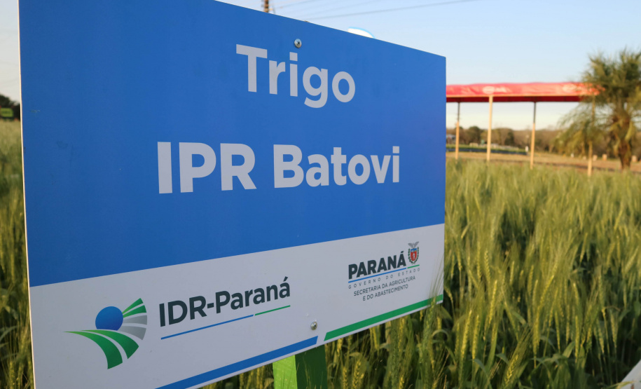 Evento de Agricultura de Baixo Carbono - show rural de inverno