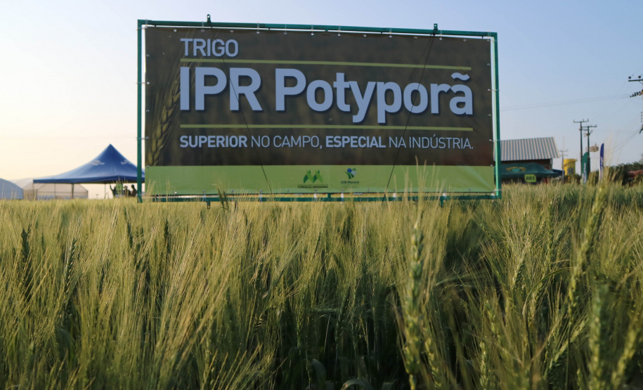 Evento de Agricultura de Baixo Carbono - show rural de inverno