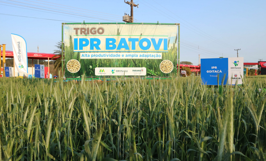 Evento de Agricultura de Baixo Carbono - show rural de inverno