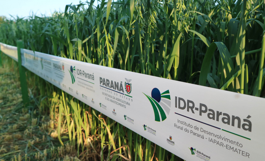 Evento de Agricultura de Baixo Carbono - show rural de inverno