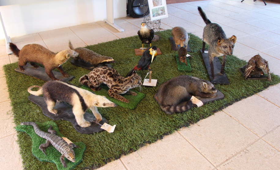 PMPR e SPVS plantam 170 mudas de árvores nativas em celebração ao aniversário da corporação