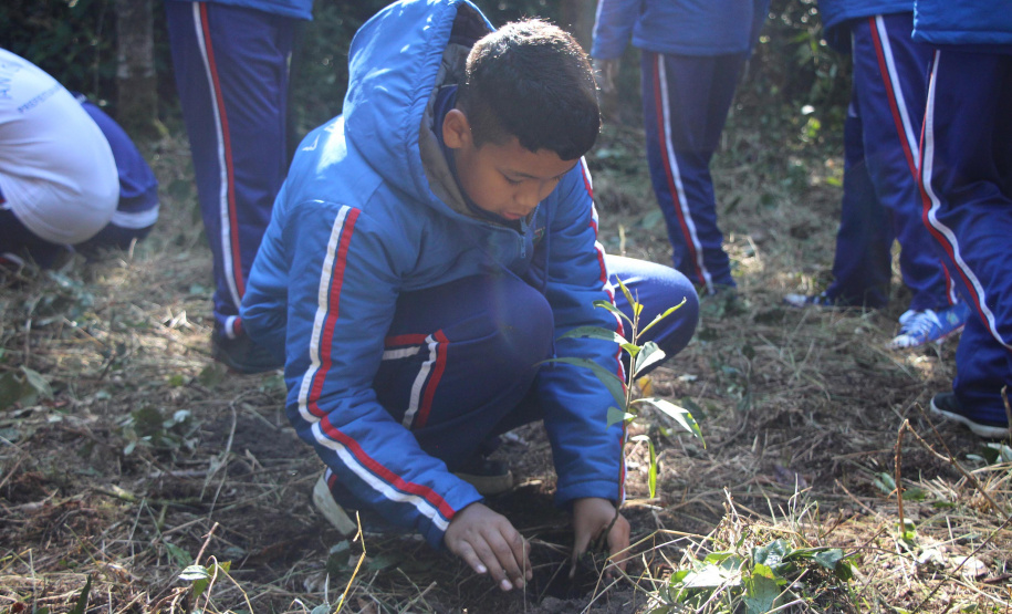 PMPR e SPVS plantam 170 mudas de árvores nativas em celebração ao aniversário da corporação