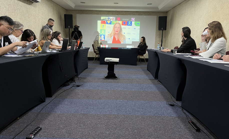 SESA REUNIÃO FEBRE AMARELA