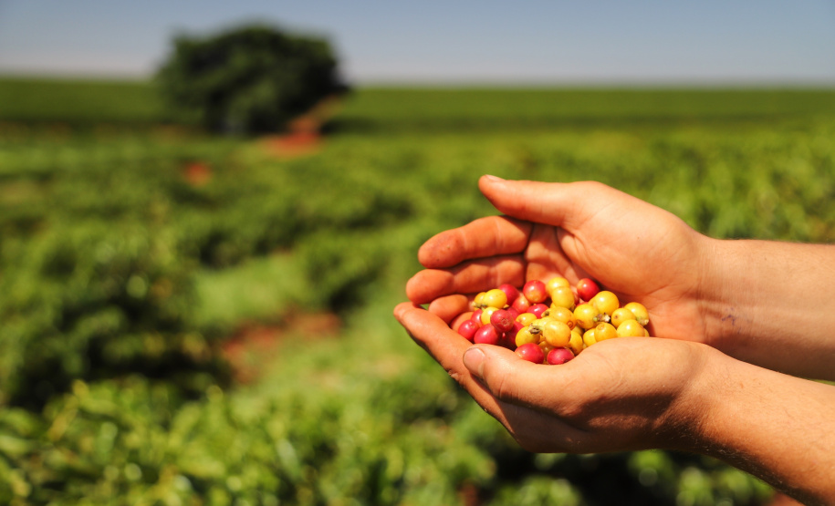 Investimentos do Paraná em agricultura cresceram 344% em 2024