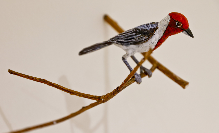 MON ENCONTRO EDUCADORES