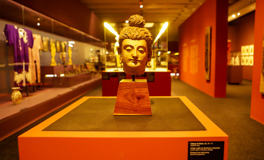 Confira as oficinas e mediações gratuitas do MON em setembro