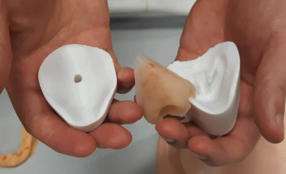 startup Regenera apoiada pelo Programa Centelha da Fundação Araucária