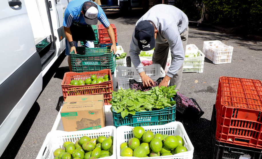 Investimentos do Paraná em agricultura cresceram 344% em 2024