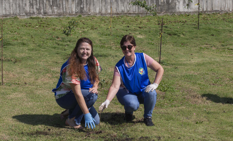 PROGRAMA DE VOLUNTARIADO DO TECPAR JÁ IMPACTOU 20 MIL PESSOAS