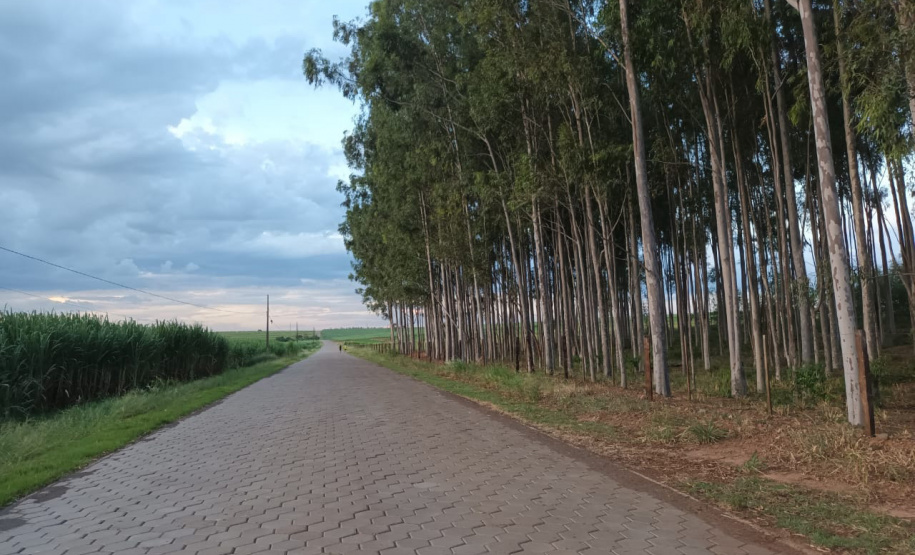 Investimentos do Paraná em agricultura cresceram 344% em 2024