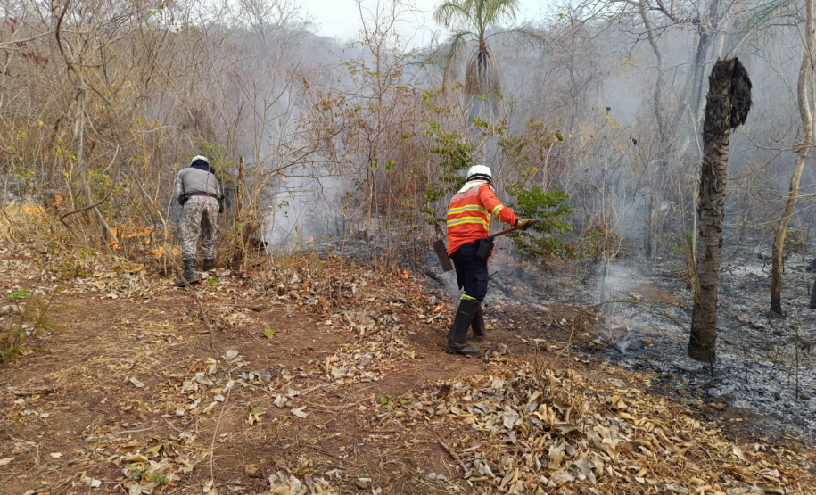 Volta da 2ª equipe encerra missão paranaense no Pantanal
