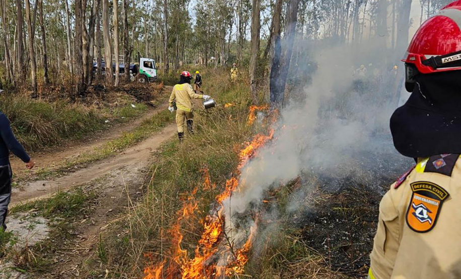 -Bombeiros voluntários do Programa de Incêndios na Natureza