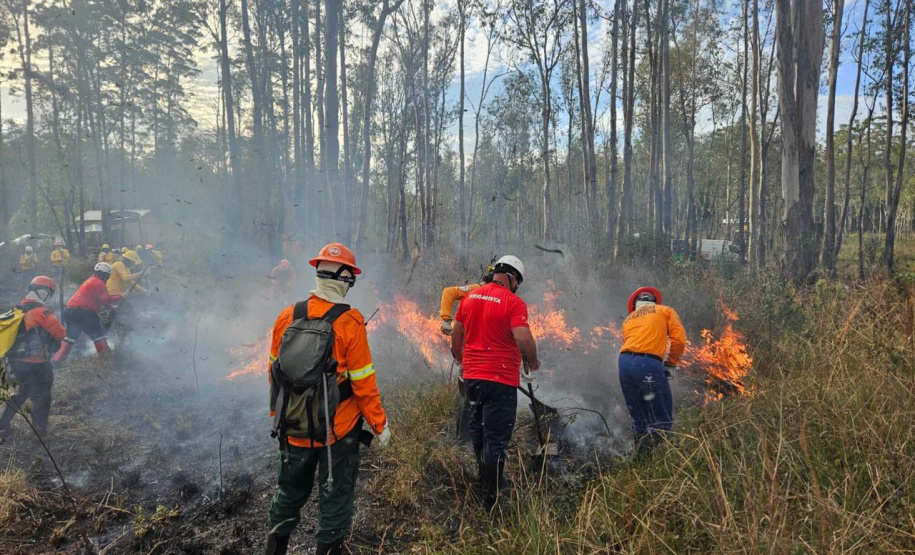 -Bombeiros voluntários do Programa de Incêndios na Natureza