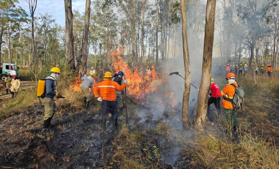 -Bombeiros voluntários do Programa de Incêndios na Natureza