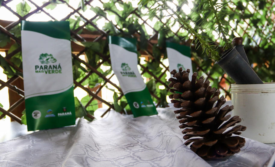 Servidores do escritório regional do IAT de Curitiba durante plantio de mudas no viveiro de São José dos Pinhais