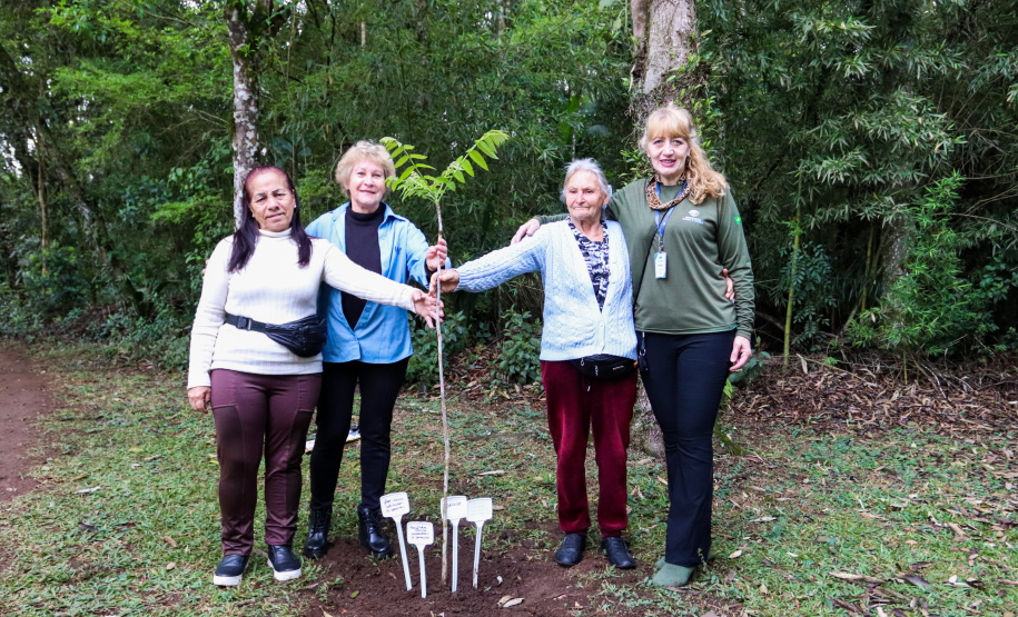 Servidores do escritório regional do IAT de Curitiba durante plantio de mudas no viveiro de São José dos Pinhais