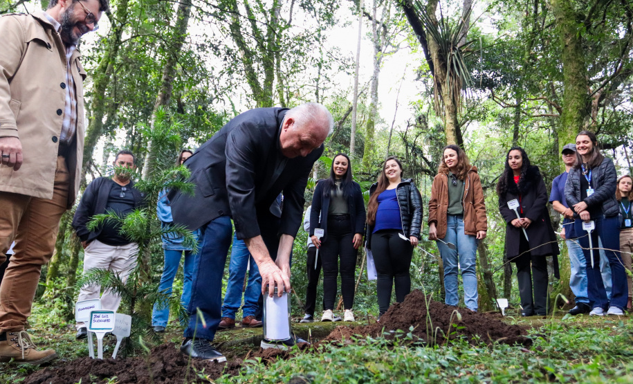 Servidores do escritório regional do IAT de Curitiba durante plantio de mudas no viveiro de São José dos Pinhais