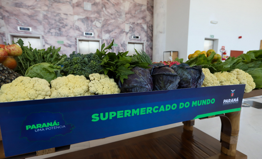 EMPRESÁRIOS