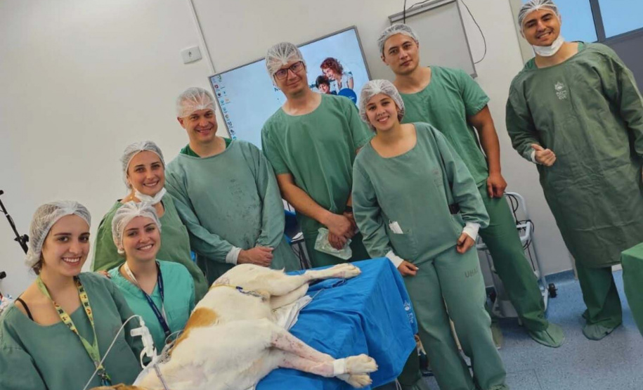 Com foco no avanço científico, Governo capacita pesquisadores para atender tendências de mercado