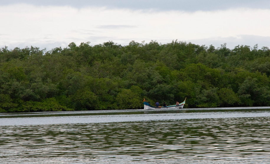 oficina promove treinamento de Bioeconomia em comunidades costeiras de Paranaguá
