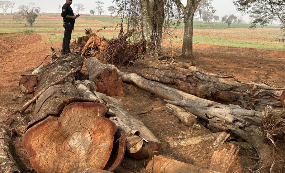 Fiscalização do IAT resultou em mais de R$ 400 mil em multas por desmatamento ilegal em Alto Paraíso