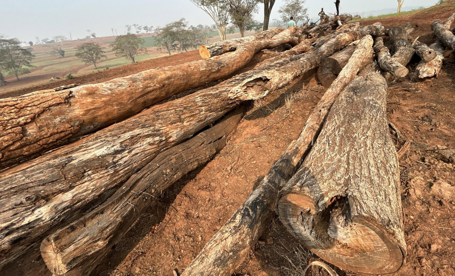 Fiscalização do IAT resultou em mais de R$ 400 mil em multas por desmatamento ilegal em Alto Paraíso