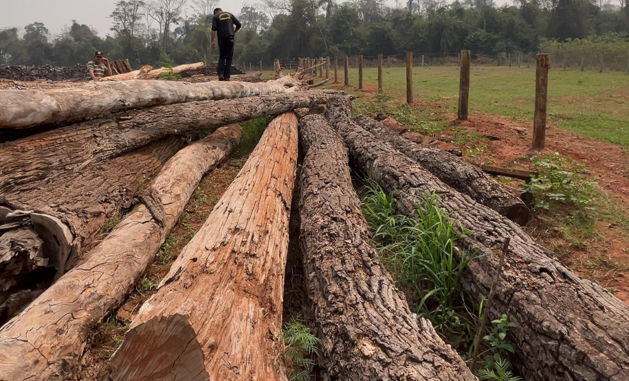 Fiscalização do IAT resultou em mais de R$ 400 mil em multas por desmatamento ilegal em Alto Paraíso
