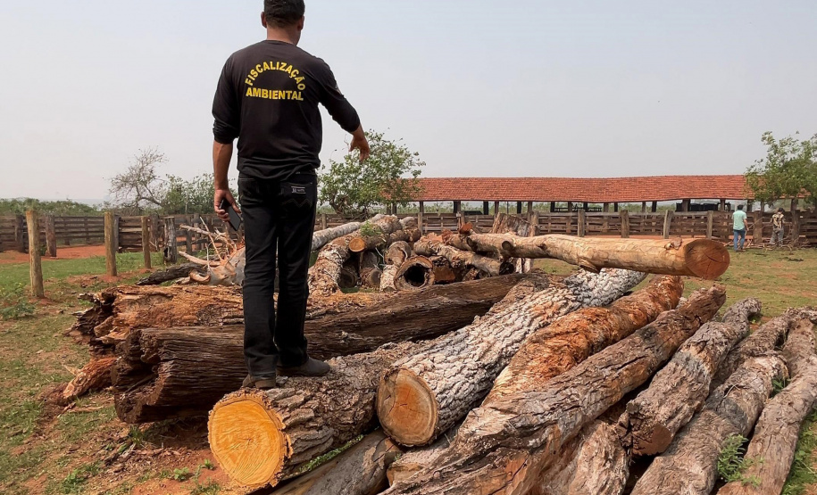 Fiscalização do IAT resultou em mais de R$ 400 mil em multas por desmatamento ilegal em Alto Paraíso