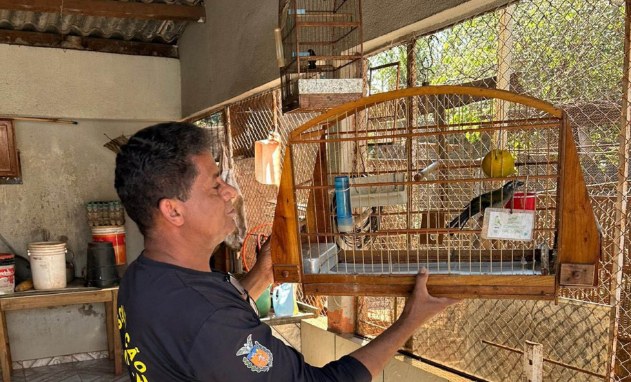 Técnicos do IAT aprenderam 15 aves em criadouros irregulares no Noroeste do Paraná