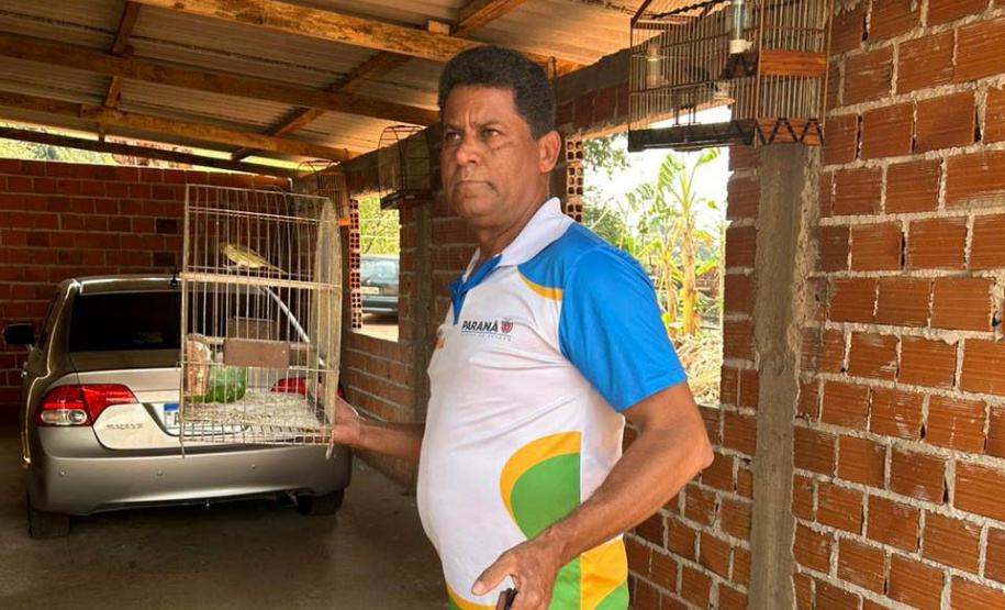 Técnicos do IAT aprenderam 15 aves em criadouros irregulares no Noroeste do Paraná