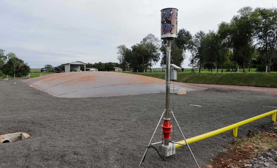 Vizinhos compartilham biodigestor para produzir energia limpa e manejar resíduos da suinocultura