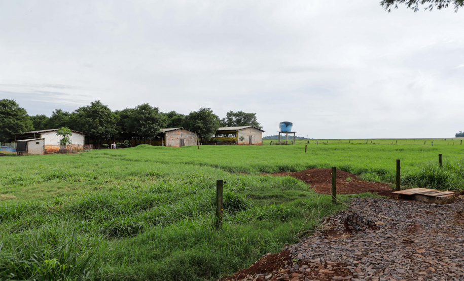 Vizinhos compartilham biodigestor para produzir energia limpa e manejar resíduos da suinocultura