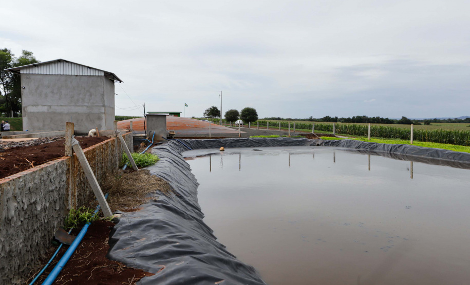 Vizinhos compartilham biodigestor para produzir energia limpa e manejar resíduos da suinocultura