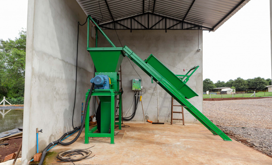 Vizinhos compartilham biodigestor para produzir energia limpa e manejar resíduos da suinocultura