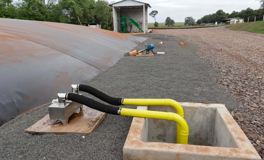 Vizinhos compartilham biodigestor para produzir energia limpa e manejar resíduos da suinocultura