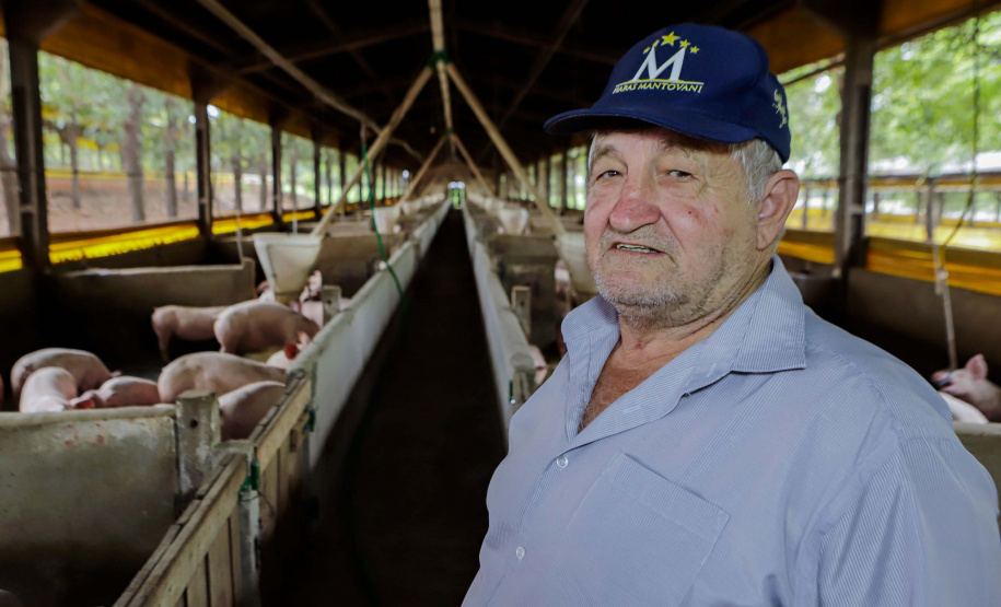 Vizinhos compartilham biodigestor para produzir energia limpa e manejar resíduos da suinocultura