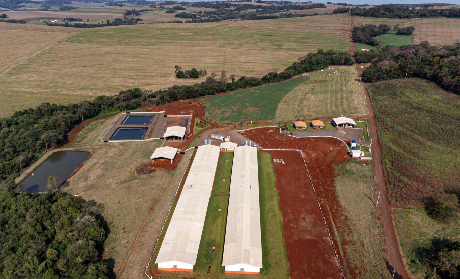 Suinocultor do Oeste do Paraná instala biodigestor e realiza o sonho de produzir com sustentabilidade
