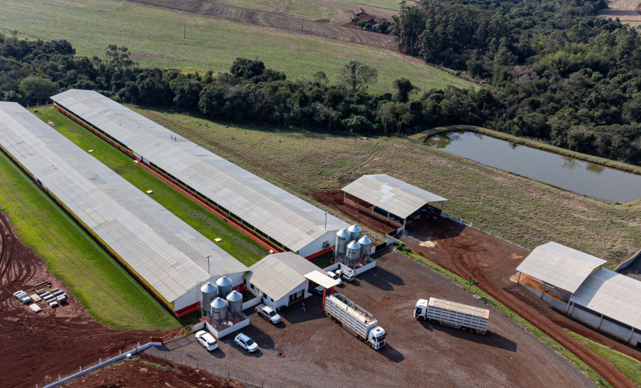 Suinocultor do Oeste do Paraná instala biodigestor e realiza o sonho de produzir com sustentabilidade