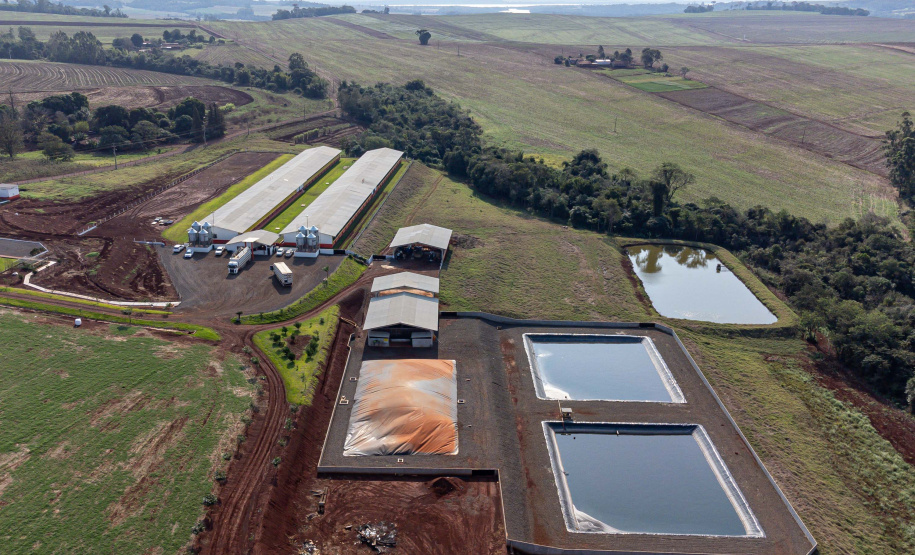 Suinocultor do Oeste do Paraná instala biodigestor e realiza o sonho de produzir com sustentabilidade