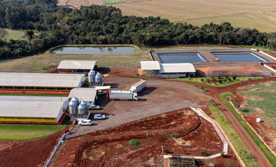 Suinocultor do Oeste do Paraná instala biodigestor e realiza o sonho de produzir com sustentabilidade