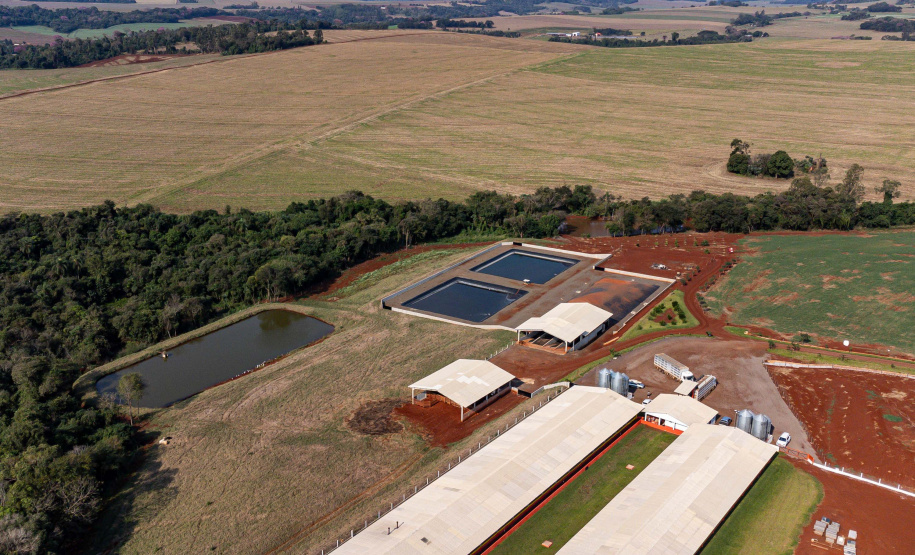 Suinocultor do Oeste do Paraná instala biodigestor e realiza o sonho de produzir com sustentabilidade