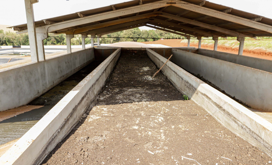 Suinocultor do Oeste do Paraná instala biodigestor e realiza o sonho de produzir com sustentabilidade