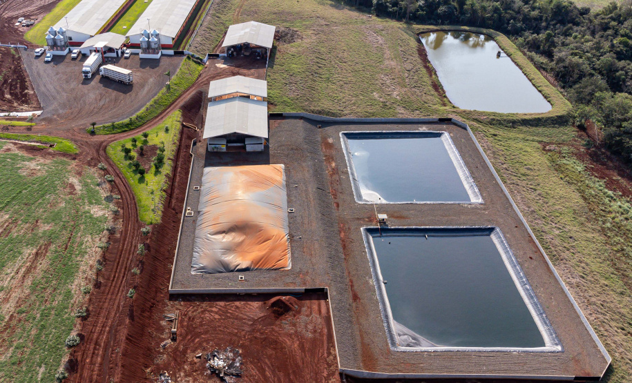 Suinocultor do Oeste do Paraná instala biodigestor e realiza o sonho de produzir com sustentabilidade