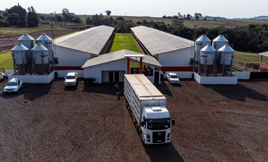 Suinocultor do Oeste do Paraná instala biodigestor e realiza o sonho de produzir com sustentabilidade